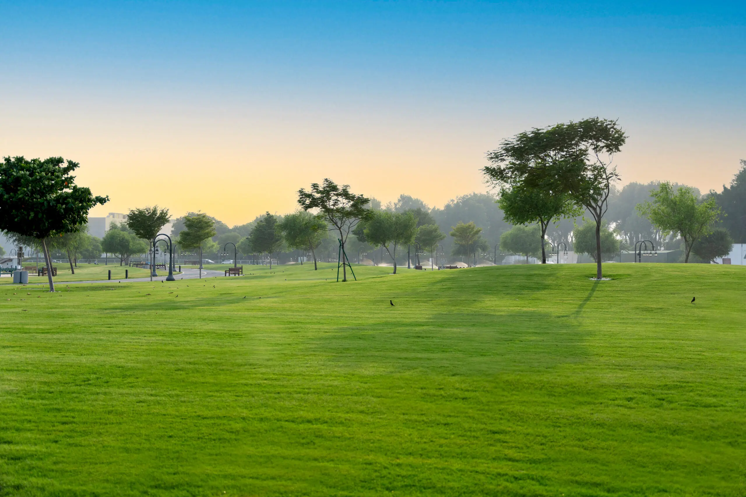 Two hands creating a heart and showing the sun