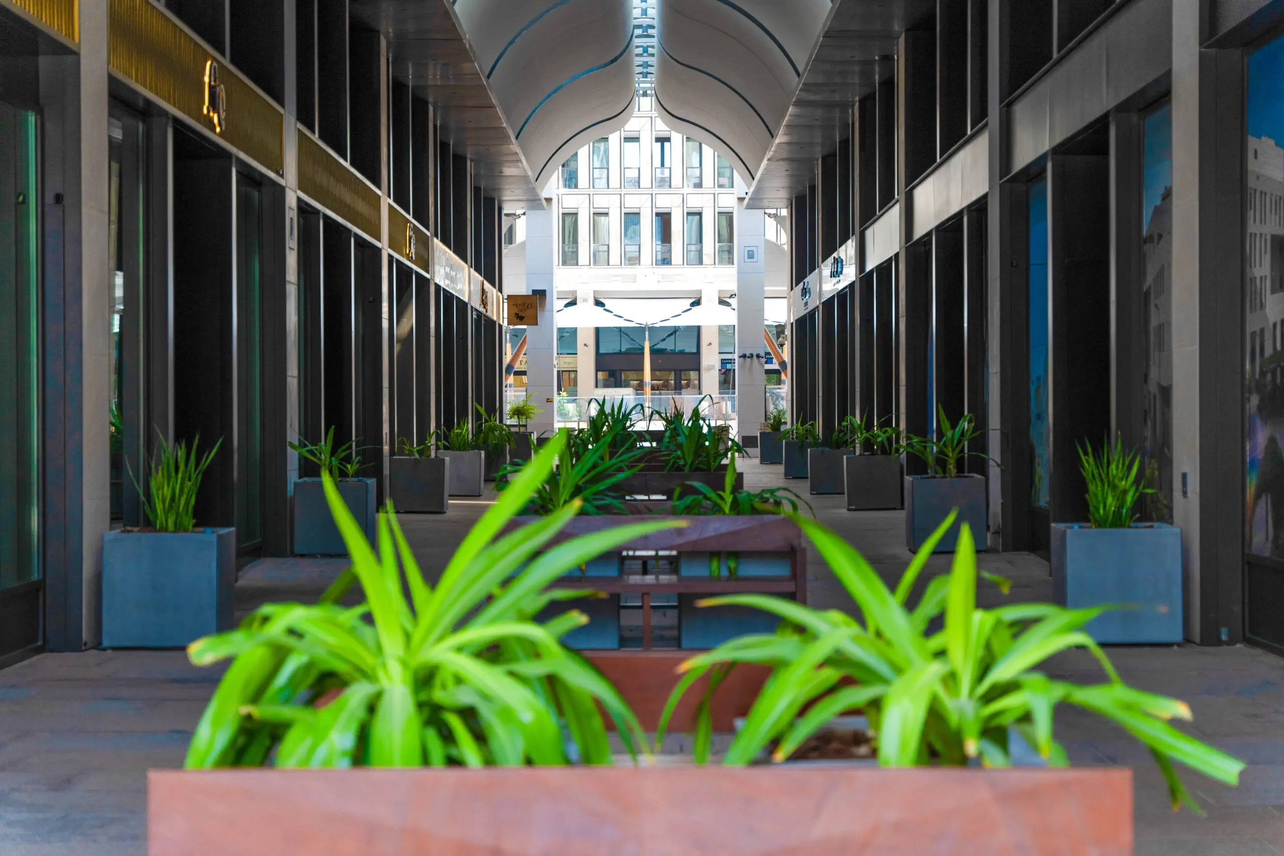 Two hands creating a heart and showing the sun